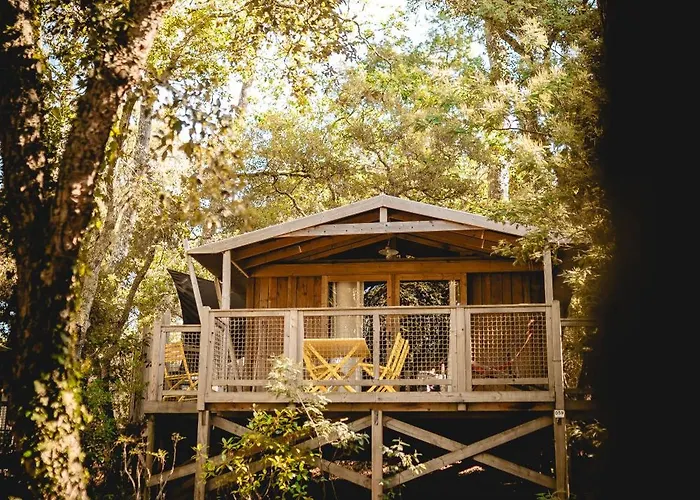 Les Maritimes Seignosse