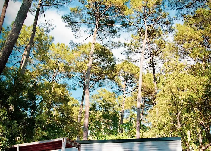 Les Maritimes Seignosse